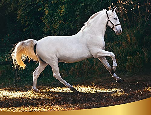 Champú seco Natural y Vegetal para Caballos, 500 ml - Sin Necesidad de Agua ni Enjuague - para un Lavado rápido y eficaz - Apto para Todo Tipo de Manti, Linea 101