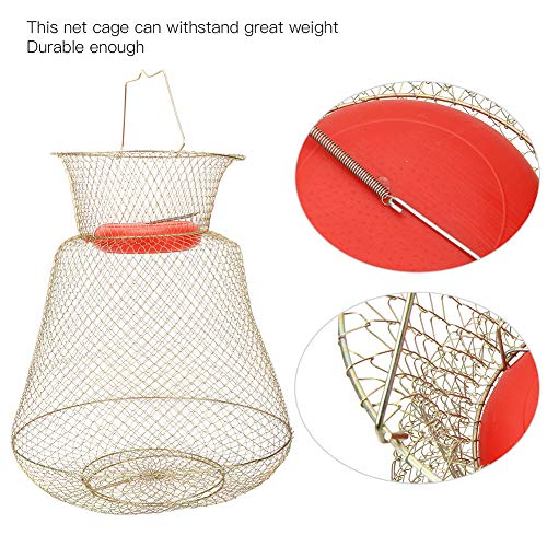 Changor Neto Pescado Cesta, PC 1 S Cebo Trampa Jaula El plastico y Inoxidable Acero