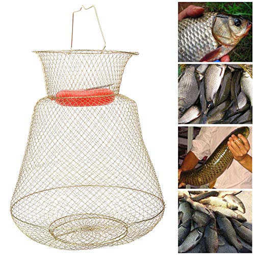 Changor Neto Pescado Cesta, PC 1 S Cebo Trampa Jaula El plastico y Inoxidable Acero