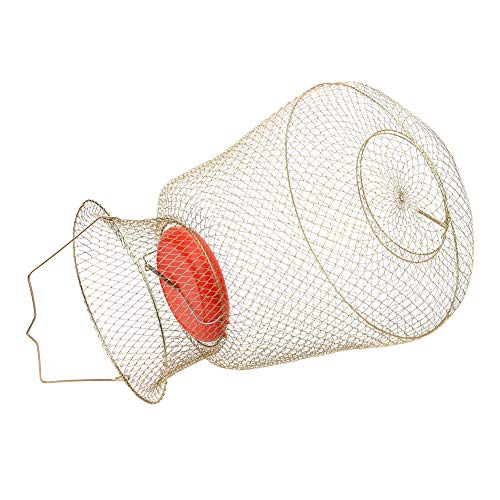 Changor Neto Pescado Cesta, PC 1 S Cebo Trampa Jaula El plastico y Inoxidable Acero