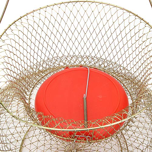 Changor Neto Pescado Cesta, PC 1 S Cebo Trampa Jaula El plastico y Inoxidable Acero