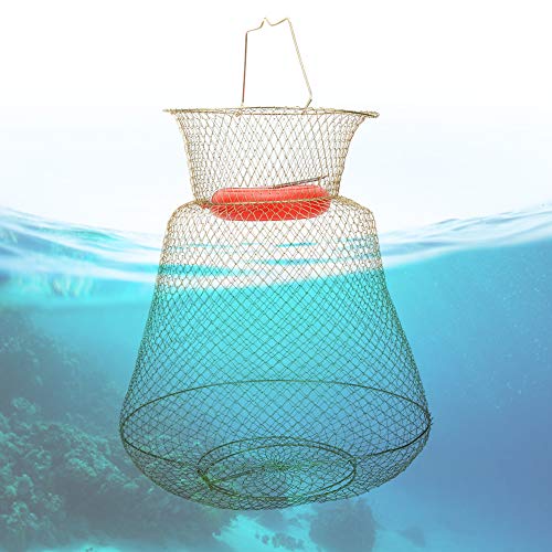 Changor Pescado Cesta, Profesional Pescar Cebo Trampa PC 1 con El plastico y Inoxidable Acero S