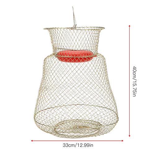 Changor Profesional Pescado Cesta, Jaula Pescar Trampa PC 1 S Hecho de El plastico y Inoxidable Acero