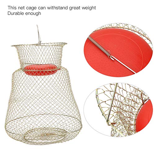 Changor Profesional Pescado Cesta, Jaula Pescar Trampa PC 1 S Hecho de El plastico y Inoxidable Acero