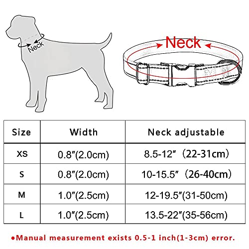 Chapa Perro Grabada Nylon Fashion Boy Girl Unisex Perros Collar Productos PET COLLAR PEQUEÑO PEQUEÑO PEQUEÑO PERSONALIZADO COLLAR PERSONO PERSONALIZADO Nombre IDENTIFICACIÓN Etiqueta Placas Para Perro