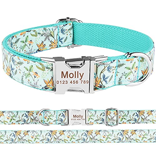 Chapa Perro Grabada Nylon Fashion Boy Girl Unisex Perros Collar Productos PET COLLAR PEQUEÑO PEQUEÑO PEQUEÑO PERSONALIZADO COLLAR PERSONO PERSONALIZADO Nombre IDENTIFICACIÓN Etiqueta Placas Para Perro
