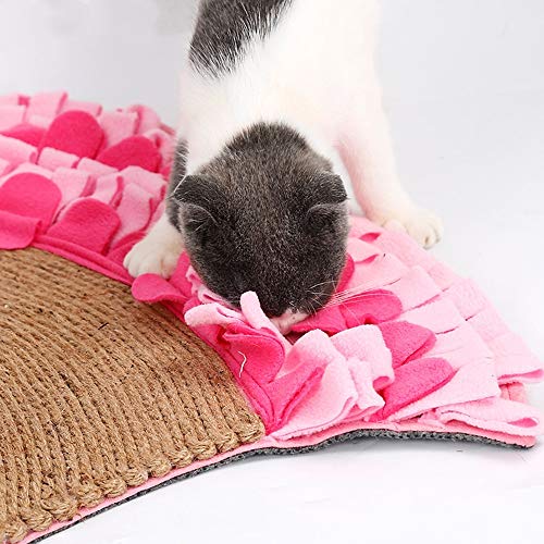 ChengBeautiful Túnel De Gato Reproducción de múltiples Funciones Creativo del Gato del Gato del Gato de Juguete Túnel Túnel de la litera del Gato Garra (Color : Pink, Size : One Size)
