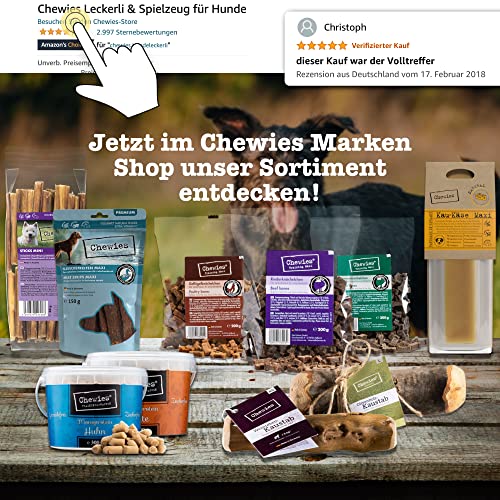 Chewies Hueso para Masticar para Perros, de Madera de Olivo, 100 % Natural, Juguete para Masticar para Perros hasta 20 kg, Talla M