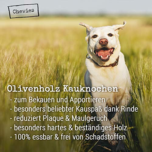 Chewies Hueso para Masticar para Perros, de Madera de Olivo, 100 % Natural, Juguete para Masticar para Perros hasta 20 kg, Talla M