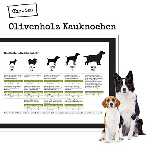 Chewies Hueso para Masticar para Perros, de Madera de Olivo, 100 % Natural, Juguete para Masticar para Perros hasta 20 kg, Talla M