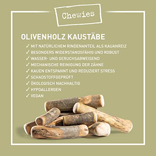 Chewies Hueso para Masticar para Perros, de Madera de Olivo, 100 % Natural, Juguete para Masticar para Perros hasta 20 kg, Talla M