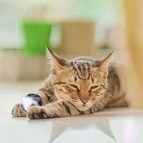 CHRISTY HARRELL 5 bolas de felpa de hierba gatera, bola peluda suave de felpa grande, bolas de persecución de gatos, suministros interactivos para mascotas, para gatos y gatitos