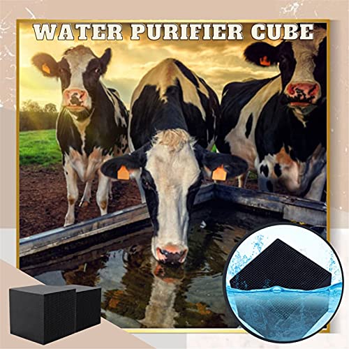 Chrty Purificador de agua Cubos activan el filtro de purificación de agua de alta eficiencia de carbono ultra fuerte filtración y absorción para el tanque de peces de acuario de agua