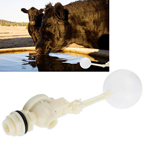 Cikonielf Válvula De Flotador De Plástico Dn20 G3/4In, Válvula De Interruptor De Flotador Ajustable para Ventiladores De Refrigeración, Tanque De Agua, Torre De Agua(Dn20)