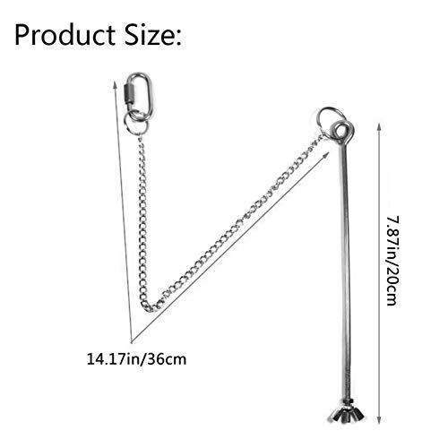 circulor-123 Brocheta De Acero Inoxidable para Alimentos, Porta Frutas para Pájaros, Loros, Brochetas para Alimentos, Carne, Fruta, Varilla, Soporte para Loros, Periquitos, Periquitos, Cacatúas