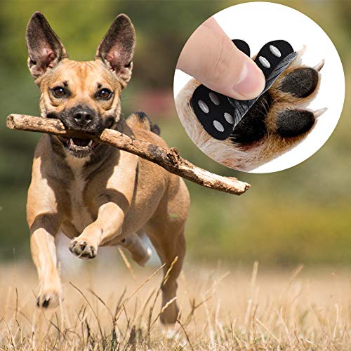 Cizen Protectores Zampa Pads, 20 unidades, antideslizantes, protectores contra el deslizamiento, autoadhesivos para perros de repuesto - S