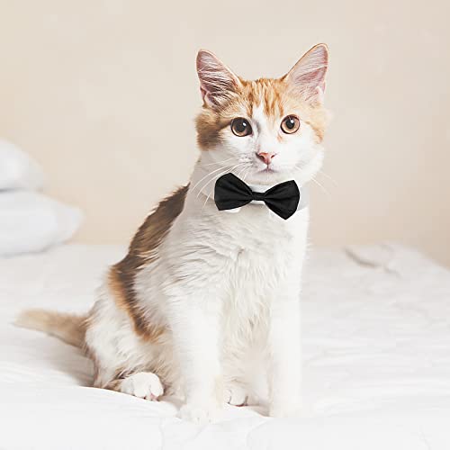 cobee Collar de esmoquin ajustable para perros y gatos, pajarita de boda, pajarita formal para cachorros, corbata, cuello de esmoquin, disfraz para mascotas, corbata, cachorro, gatito, boda