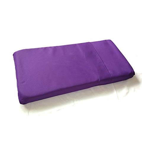 Cochecito del Animal doméstico Dos Asiento Doble Cama durmiendo Coche Ultra Ligero Plegable for extraíble y Lavable Perro Gato es Ampliar la educación Fuera 10.8 (Color : Purple)