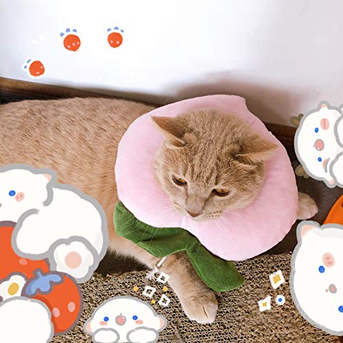 Collar ajustable para gatos con diseño de frutas y frutas con patrón de esterilización para mascotas - miel melocotón#