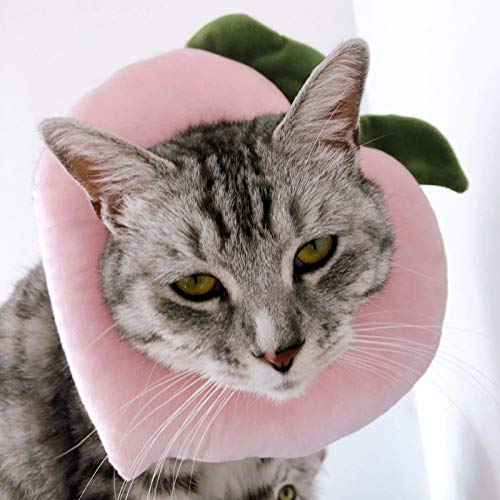 Collar ajustable para gatos con diseño de frutas y frutas con patrón de esterilización para mascotas - miel melocotón#