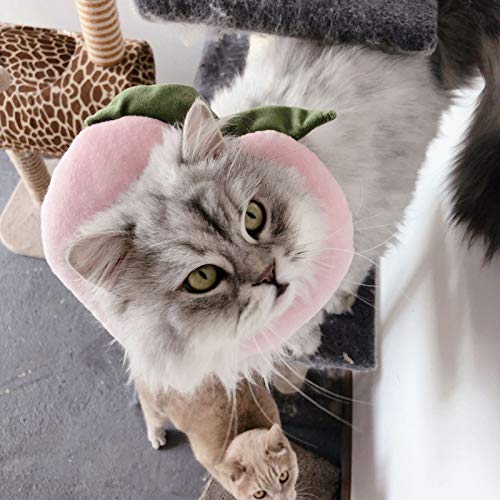Collar ajustable para gatos con diseño de frutas y frutas con patrón de esterilización para mascotas - miel melocotón#