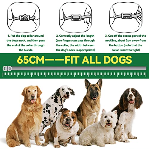 Collar Antipulgas para Perros, Collar Antiparasitario e Impermeable de 65 cm para Perros, Eficaz para Repeler Pulgas y Garrapatas Durante, Apto para Perros Pequeños, Medianos y Grandes(1 PCE)