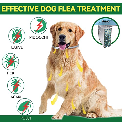 Collar Antipulgas para Perros, Collar Antiparasitario e Impermeable de 65 cm para Perros, Eficaz para Repeler Pulgas y Garrapatas Durante, Apto para Perros Pequeños, Medianos y Grandes(1 PCE)