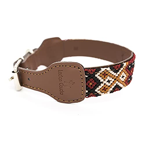 Collar Chavo