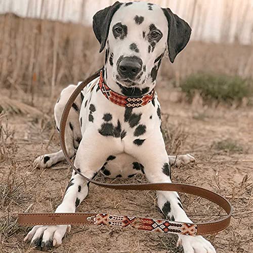 Collar Chavo