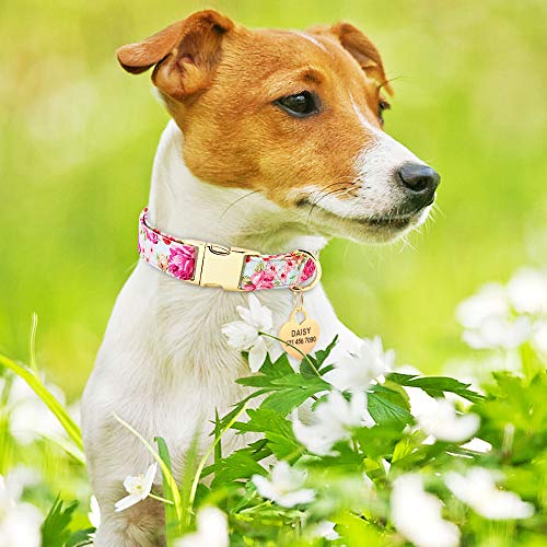 Collar de perro Beirui con diseño floral personalizado con etiqueta de identificación de corazón grabada y hebilla de liberación rápida, collares para perros pequeños, medianos y grandes(rosa,M)