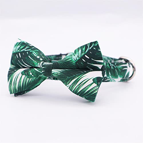 Collar De Perro Conjunto De Collar Y Correa para Perro con Pajarita Bonitas Hojas Tropicales Hebilla De Metal Collar para Perros Y Gatos Grandes Y Pequeños Accesorios para Mascotas