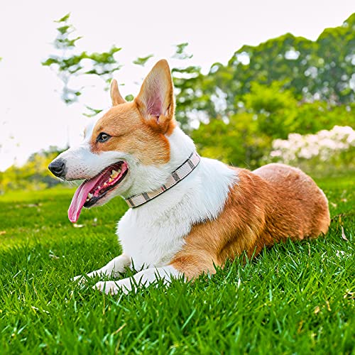 Collar de piel para perro con diseño de cuadros de moda para gatos y perros, suave y transpirable, con aleación resistente al óxido, para perros pequeños, medianos y grandes