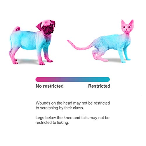 Collar de recuperación ajustable de ccypet Pet – Recuperación de cono de mascotas curación de heridas, borde suave protector para mascotas/gatito/gatos/perros pequeños