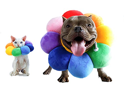 Collar de recuperación ajustable de ccypet Pet – Recuperación de cono de mascotas curación de heridas, borde suave protector para mascotas/gatito/gatos/perros pequeños