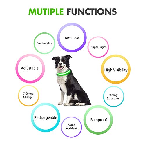 Collar Luminoso Perro Recargable PcEoTllar 7 Colores Intercambiables Collar Luminoso LED Perro Impermeable Ajustable SúPer Brillante para Perros Grandes Medianos PequeñOs - Verde L