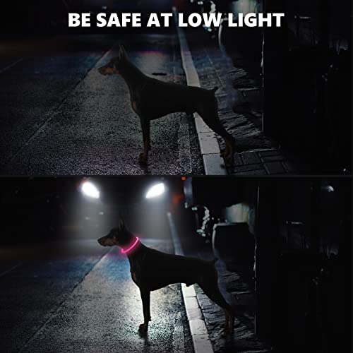 Collar Luminoso Perro, SerDa-Run Collar Perro, Collar Led Perro Recargable Tamaño Ajustable para Perros Pequeños Medianos Y Grandes Collar Perro Luminoso con Tres Modos Mantener A Su Perro Seguro