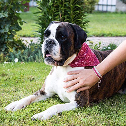 Collar para perros con bandana y brazalete de amistad marca Pettsie
