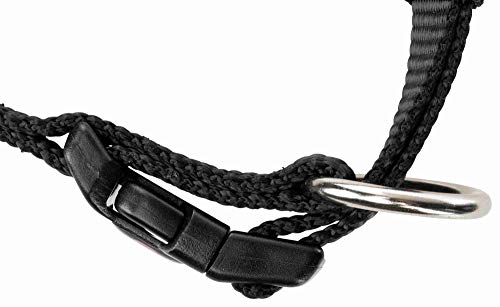Collar para perros TRIXIE Premium