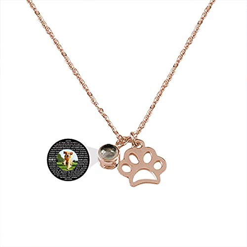 Collar personalizado para mascotas en 100 idiomas, collar de proyección fotográfica, collar para perros y gatos, regalo de cumpleaños, collar navideño de plata de ley 925