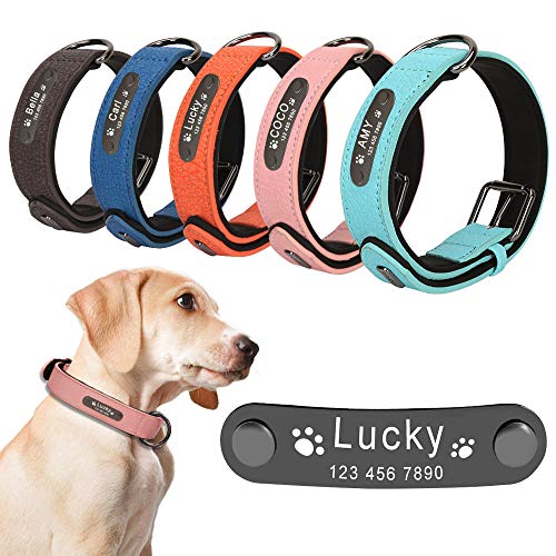 Collar personalizado para perros Collar personalizado para perros Collar con nombre grabado para perros pequeños grandes Collar para identificación de cachorros Collar ajustable para gatos - Co