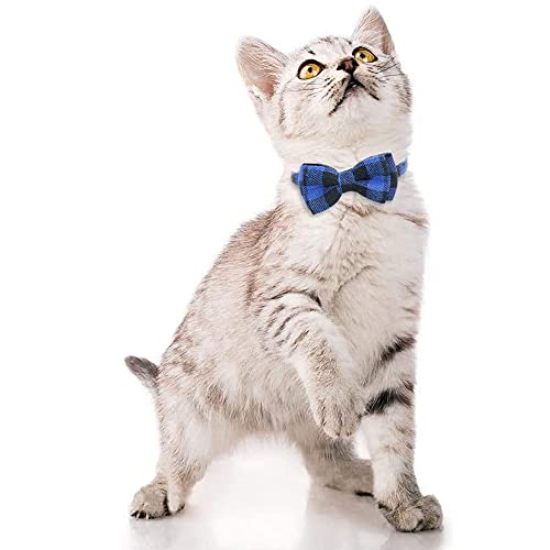 Collares de Seguridad para Gatos,3 Piezas Pajarita de Gato Ajustable,Collar para Gato con Pajarita,Collar de Gatito,Collar de Gatito de Liberación Rápida,para Gatos,Cachorro(Azul,Verde,Rojo)