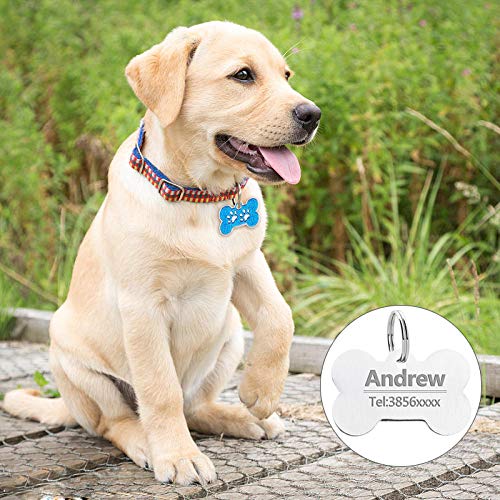 Collares personalizados para perros y gatos Arneses Hoja para perros sin etiquetas Collar grabado con identificación personalizada para el nombre del perro Teléfono Productos para mascotas-Azul