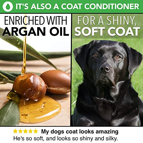 Colonia Para Perros en Espray Completamente Natural / Perfume en Espray Para Perros | Talco Para Bebés | Desodorante, Desenredante y Acondicionador del Pelaje en Espray Para Perros | 250 ml