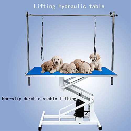 Colorful life Elevador Hidráulico, Mesa De Aseo para Mascotas, Mesa De Belleza con Soporte De Pluma De Pórtico, Mesa De Aseo para Mascotas, Baño, Soplado, Corte De Pelo, Mesa De Modelado,Azul