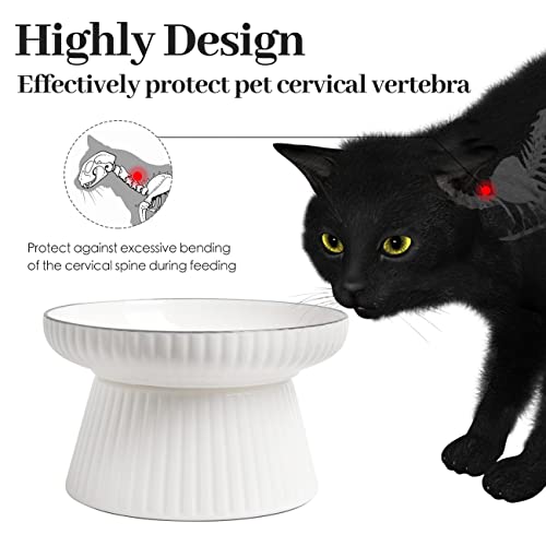Comedero de cerámica para gatos, comedero para gatos de gran tamaño, de cerámica, para protección contra el cervix, para evitar alergias al pelo de los gatos