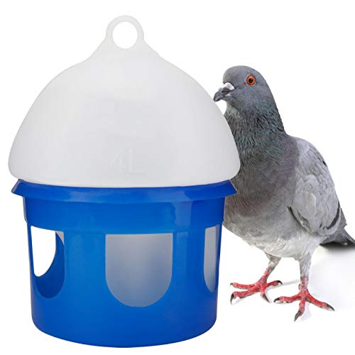 Comedero - Dispensador automático de Agua para pájaros de Gran Capacidad Bebedero(4L)