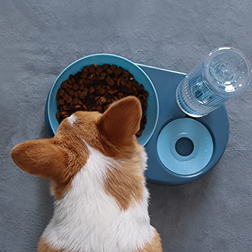 Comedero Gato,Cuenco Doble para Mascotas,15°Inclinación Comedero para Perro Gato,Proteger la Columna Vertebral,con Botella para Beber,para Perros Pequeños o Medianos Gatos