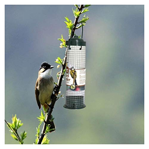 Comedero para pájaros Alimentador de aves al aire libre plástico pájaro salvaje cacahuete de cacahuete de semilla de cacahuever Hanger Suministros de aves Pájaros de aves Alimentador de pie Adecuado p