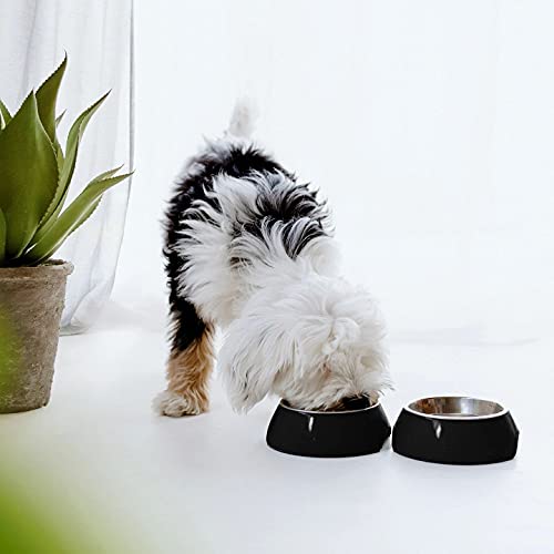 Comedero para perros y gatos prémium antideslizante de acero inoxidable, 2 x 800 ml por juego de comedero, comedero o comedero perfecto para perros y gatos pequeños, medianos y grandes, color negro