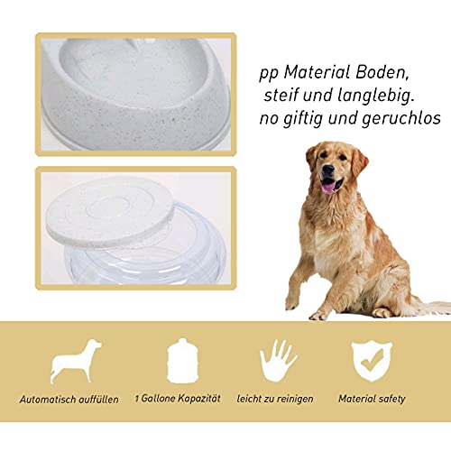 Comida automática para bebidas, 1 galón, 3,8 litros, alimentación automática para gatos y perros y dispensador de agua potable